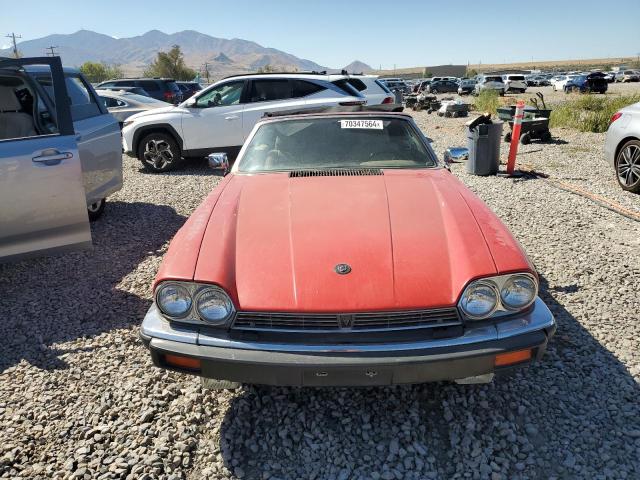 Photo 4 VIN: SAJNW4847LC172937 - JAGUAR XJS 