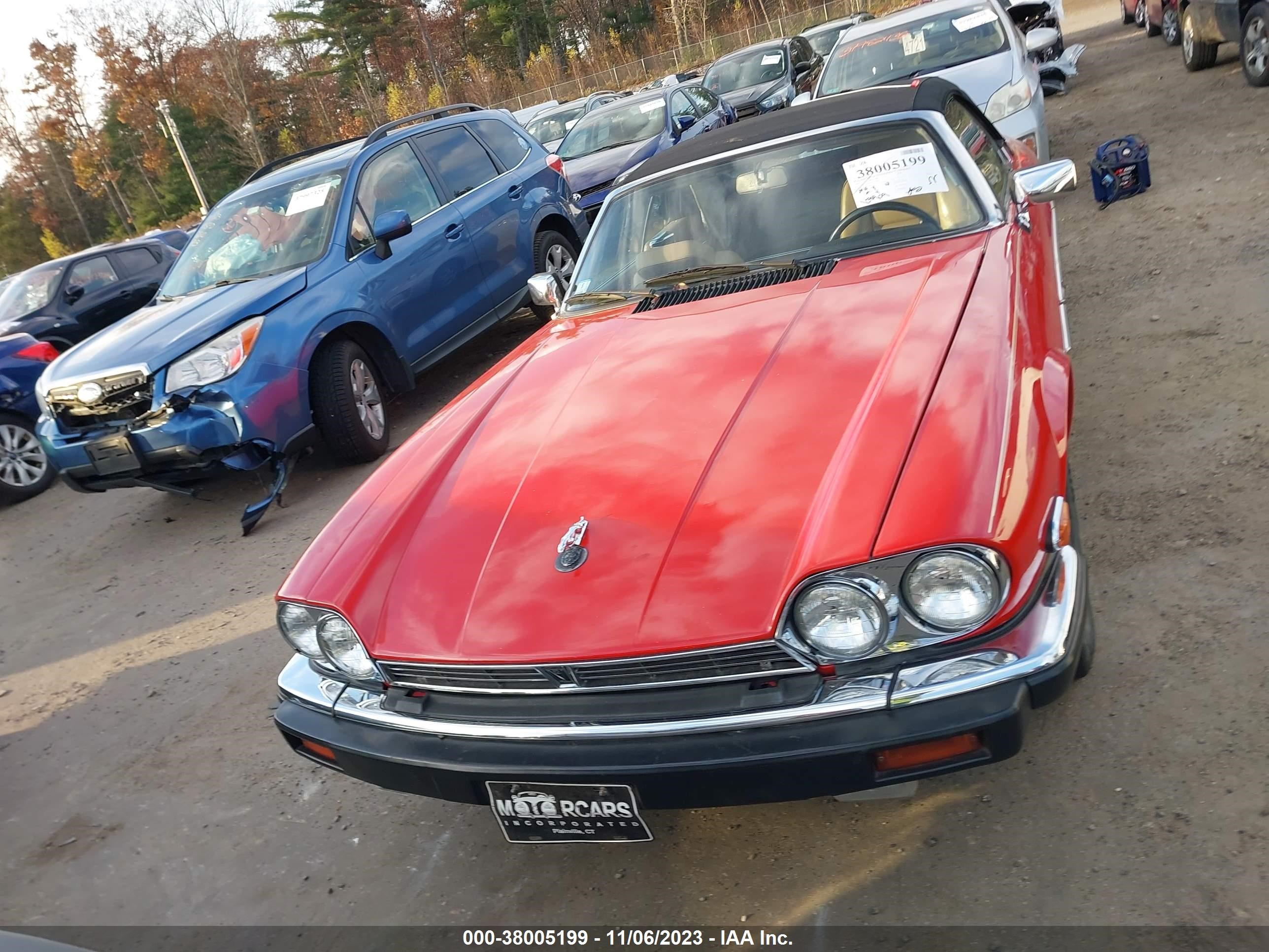 Photo 11 VIN: SAJNW484XLC167067 - JAGUAR XJS 