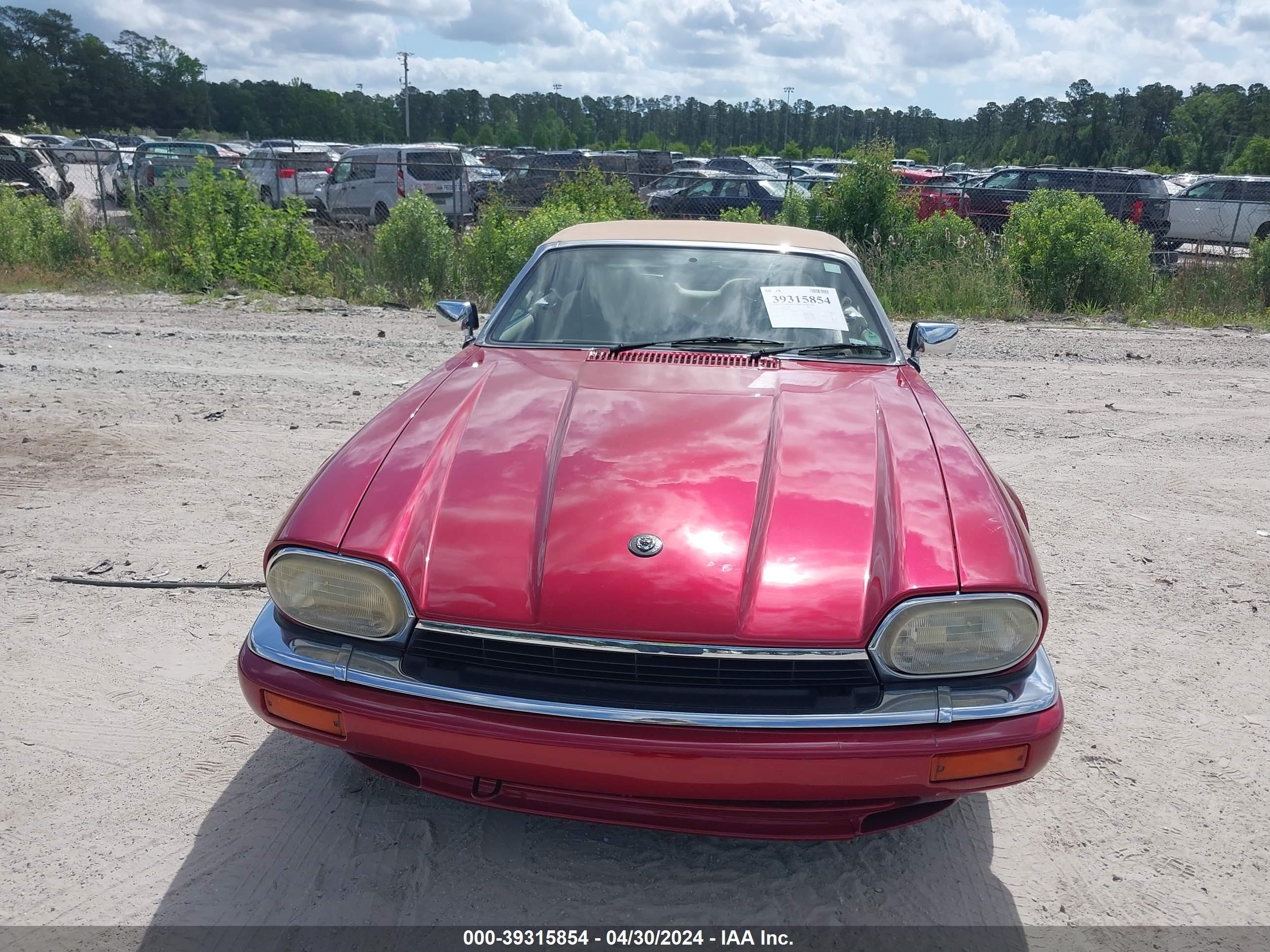 Photo 5 VIN: SAJNX2746SC198141 - JAGUAR XJS 