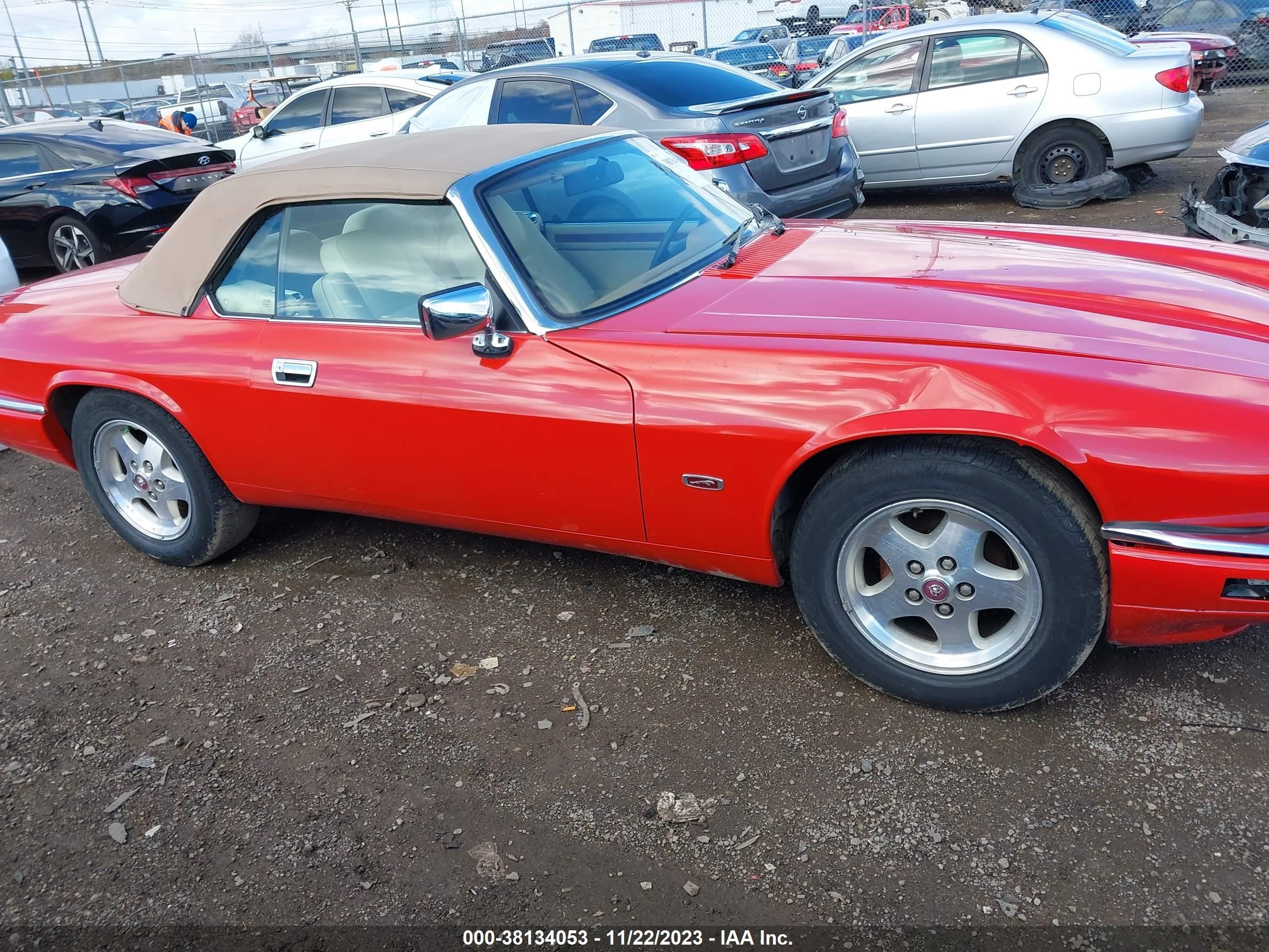 Photo 12 VIN: SAJNX2749RC190593 - JAGUAR XJS 