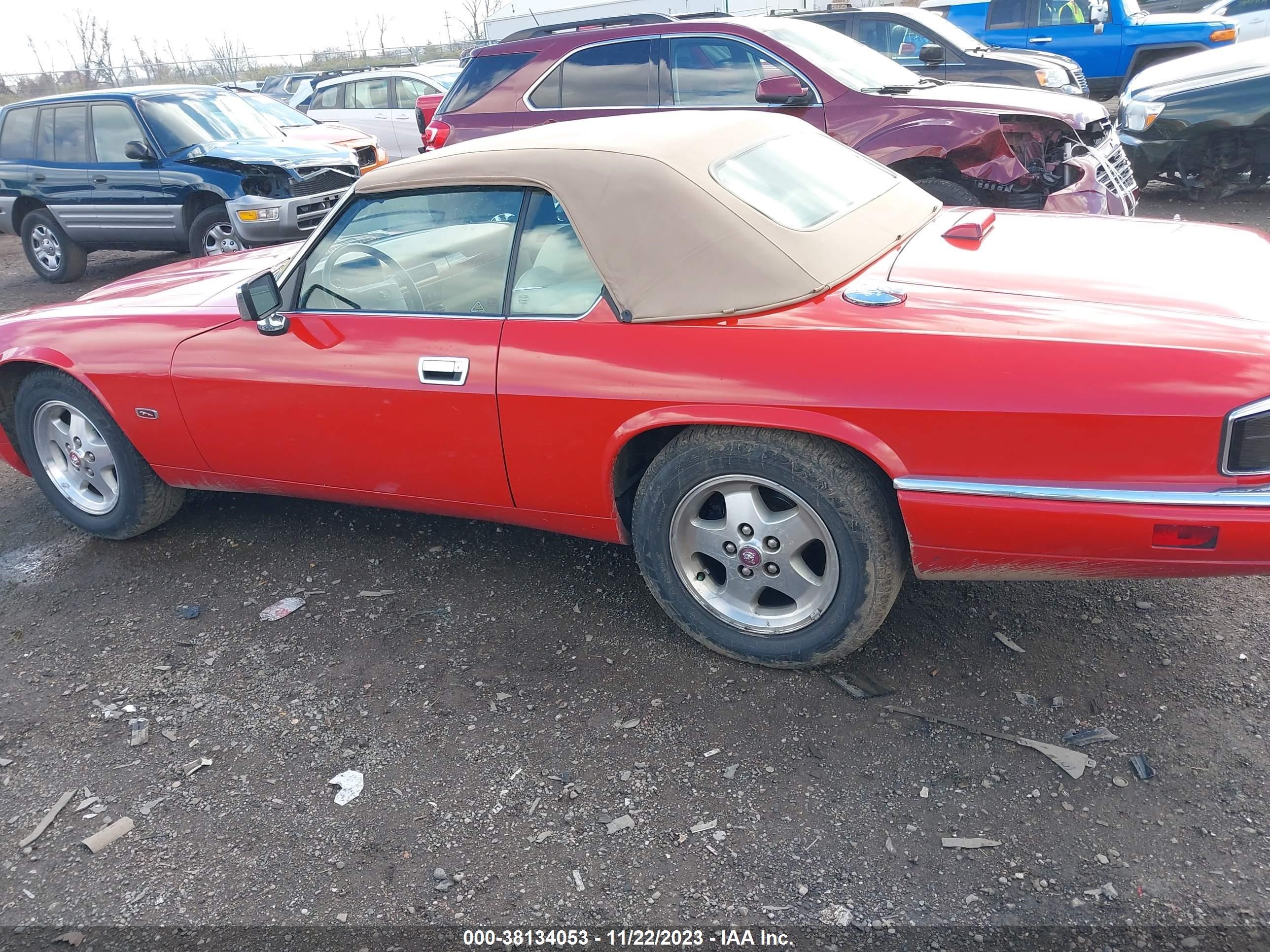 Photo 13 VIN: SAJNX2749RC190593 - JAGUAR XJS 