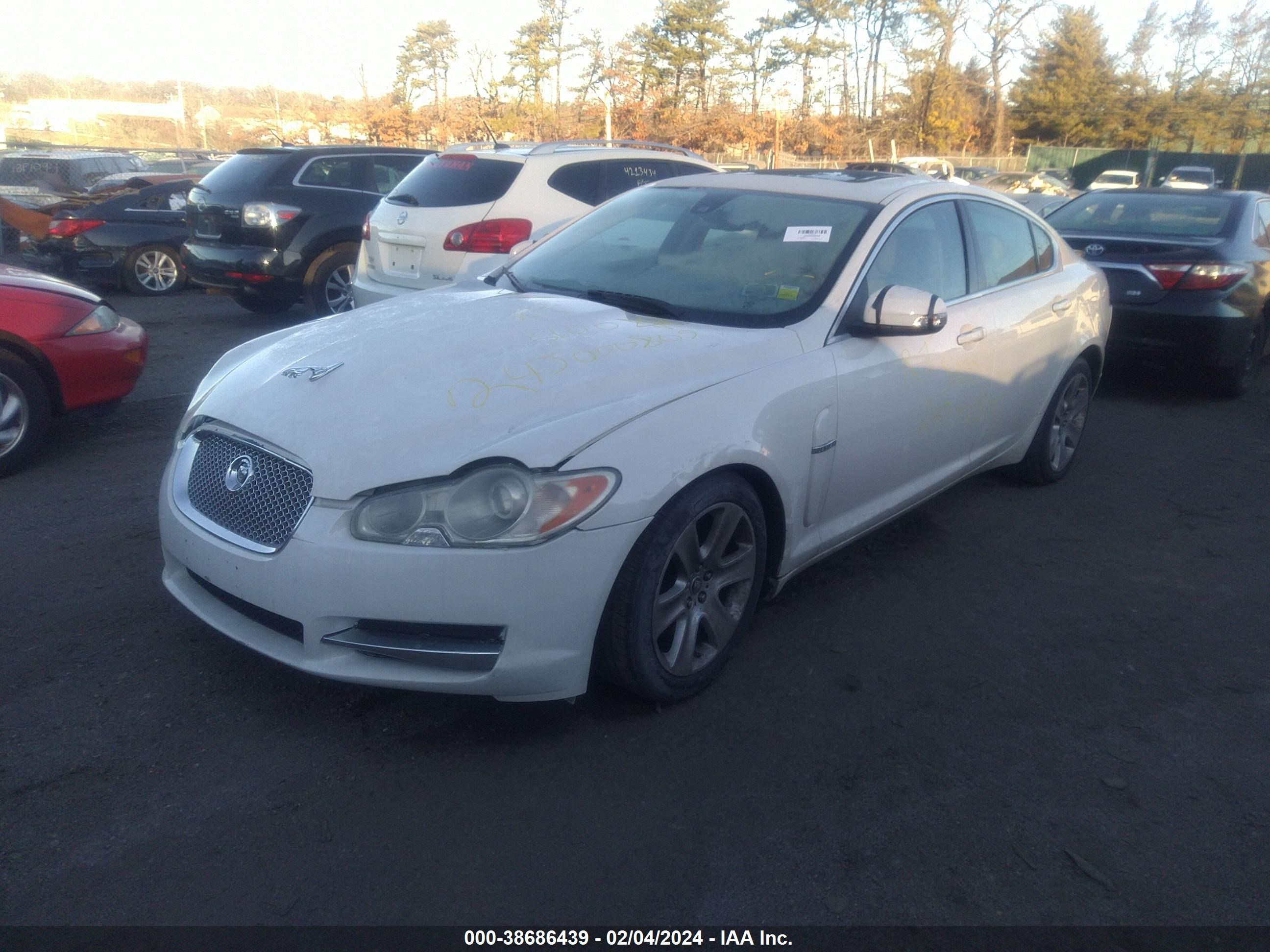 Photo 1 VIN: SAJWA05B09HR41532 - JAGUAR XF 