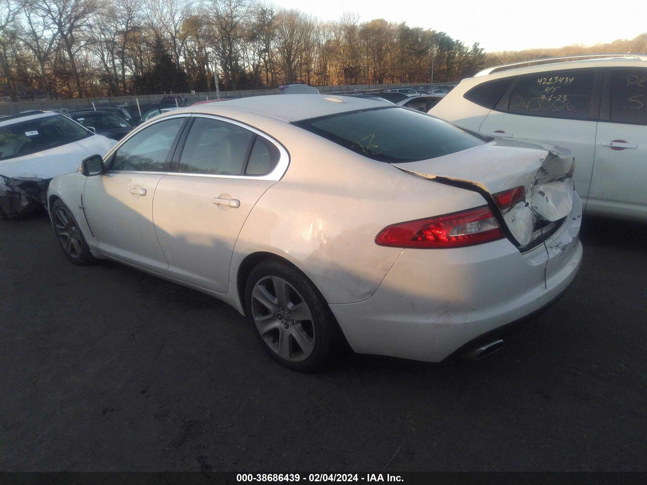 Photo 2 VIN: SAJWA05B09HR41532 - JAGUAR XF 