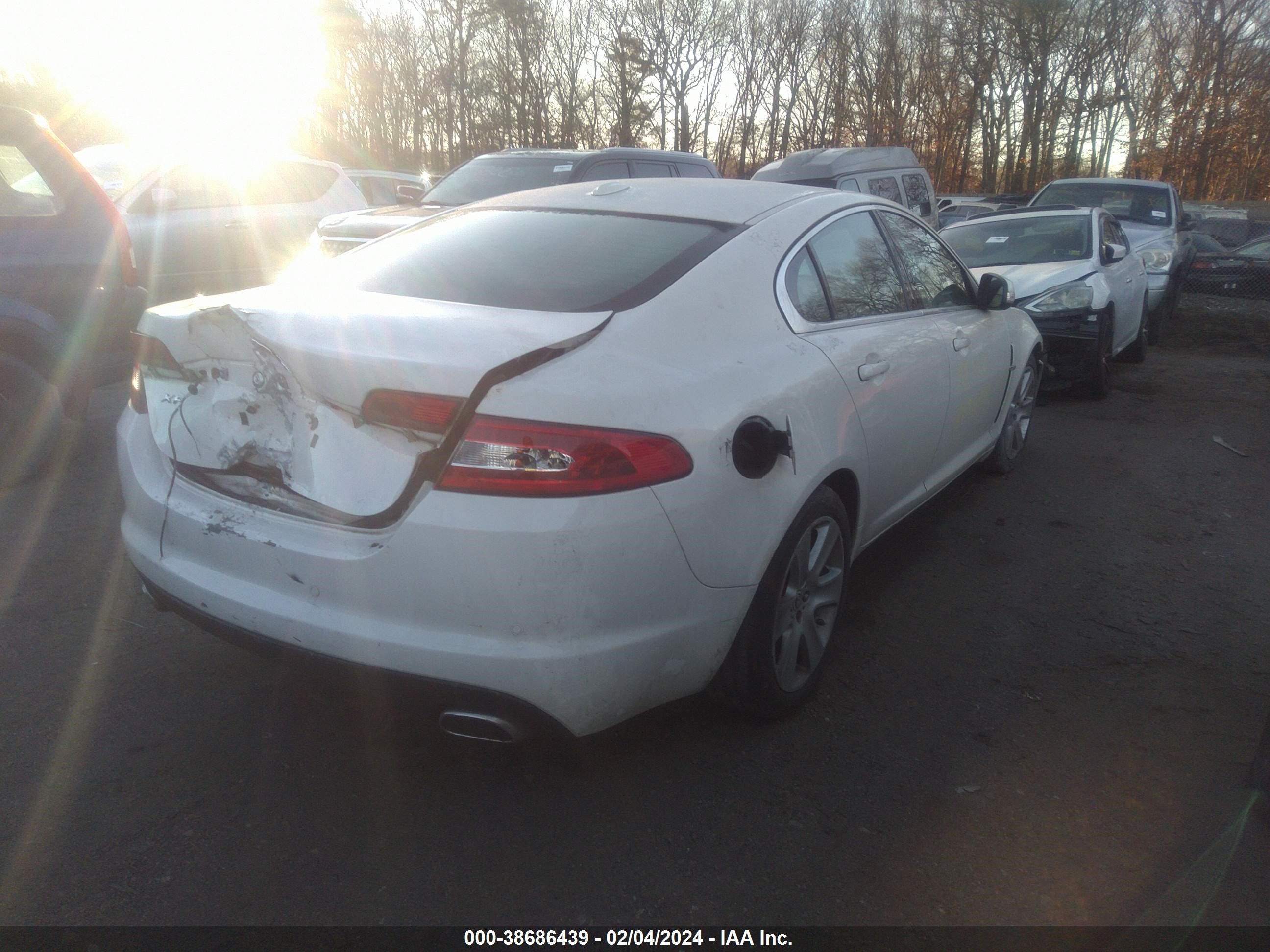 Photo 3 VIN: SAJWA05B09HR41532 - JAGUAR XF 