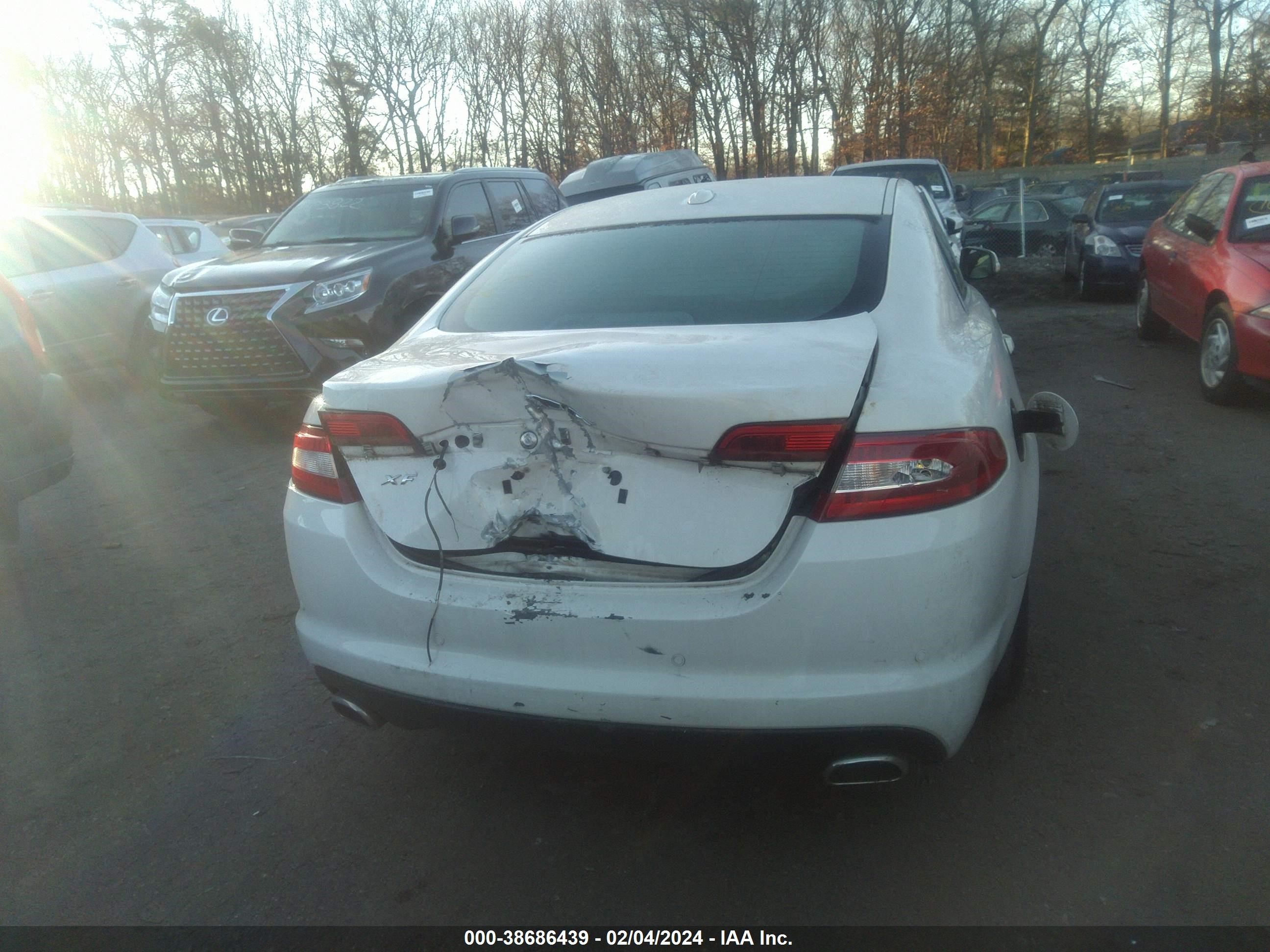 Photo 5 VIN: SAJWA05B09HR41532 - JAGUAR XF 