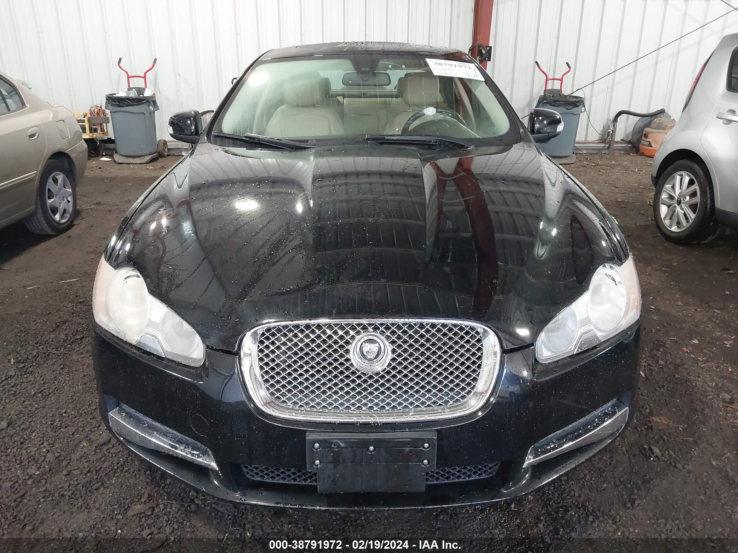 Photo 11 VIN: SAJWA05B79HR37221 - JAGUAR XF 