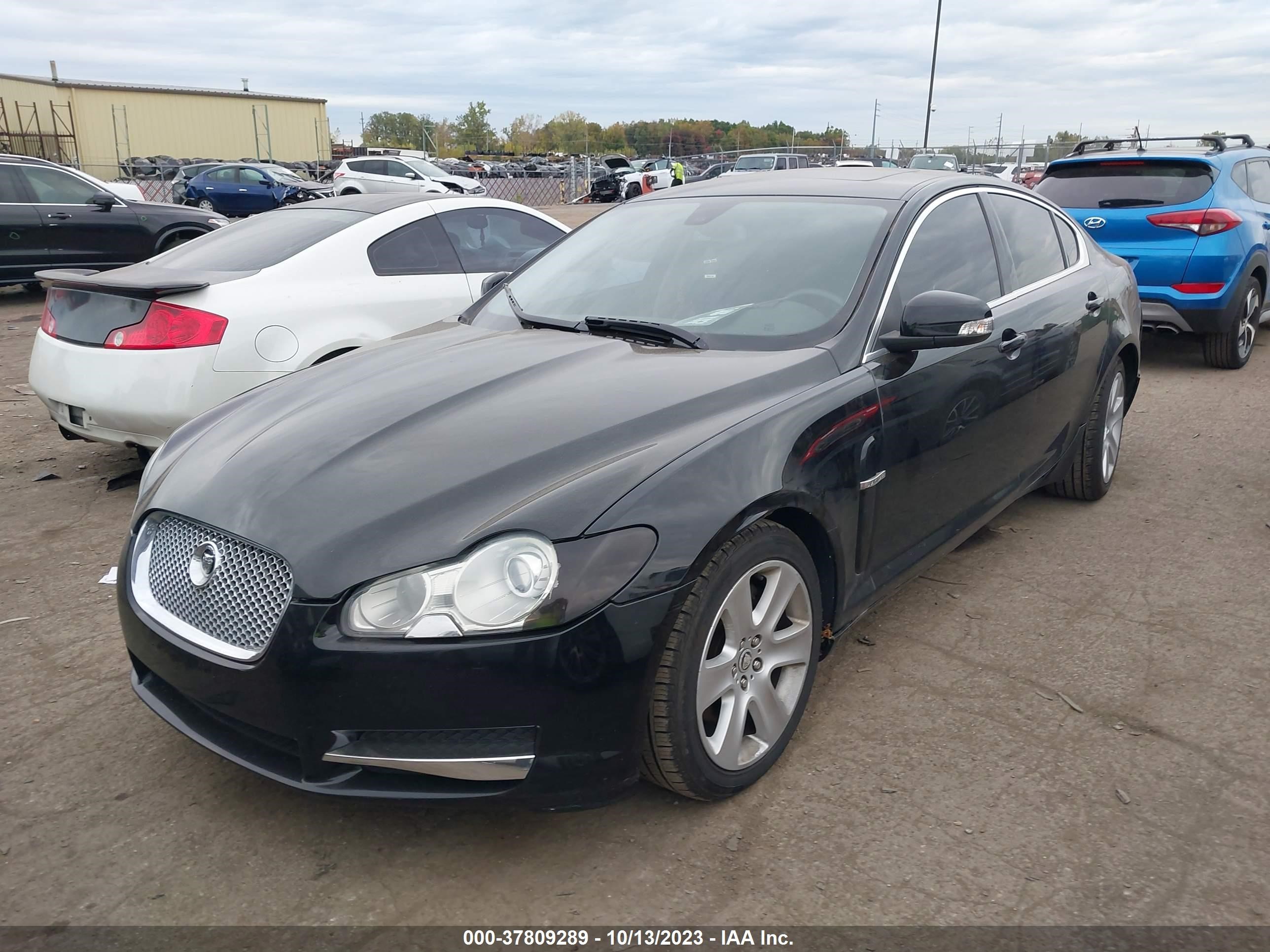 Photo 1 VIN: SAJWA05B89HR22839 - JAGUAR XF 