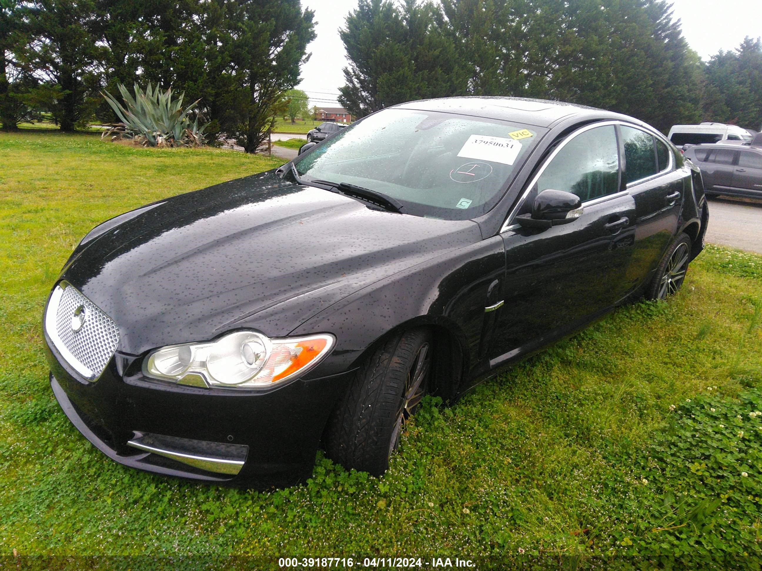 Photo 1 VIN: SAJWA06B49HR24408 - JAGUAR XF 