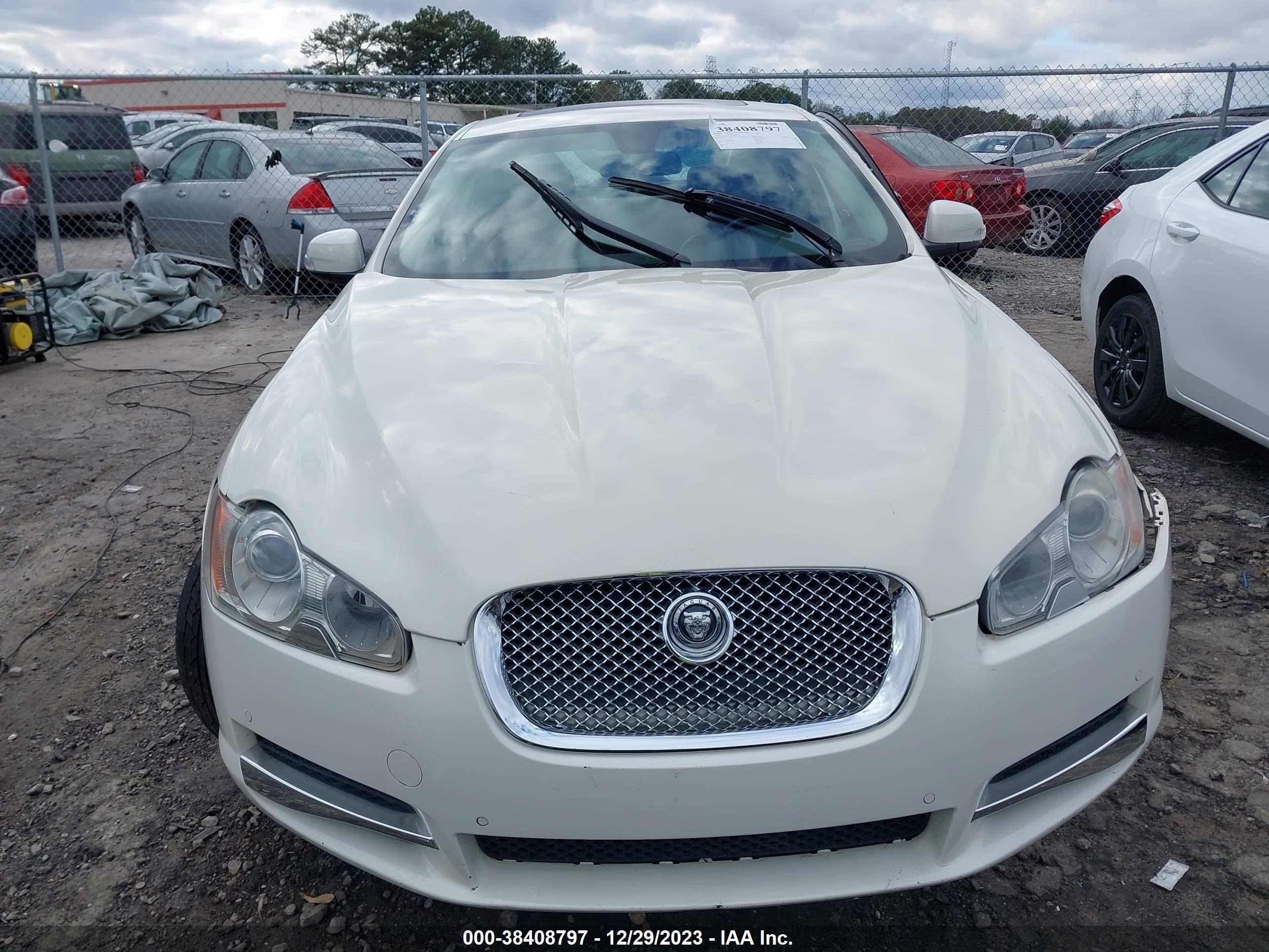 Photo 11 VIN: SAJWA07C391R15134 - JAGUAR XF 