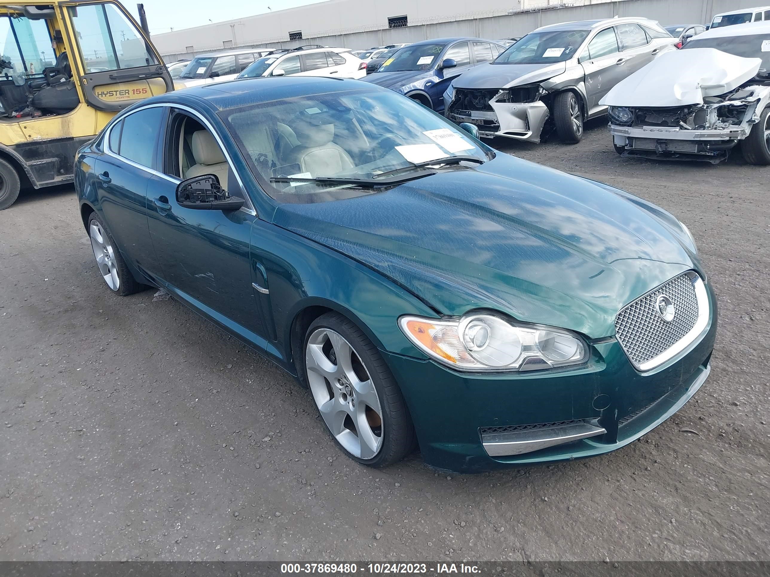 Photo 0 VIN: SAJWA07C391R35979 - JAGUAR XF 