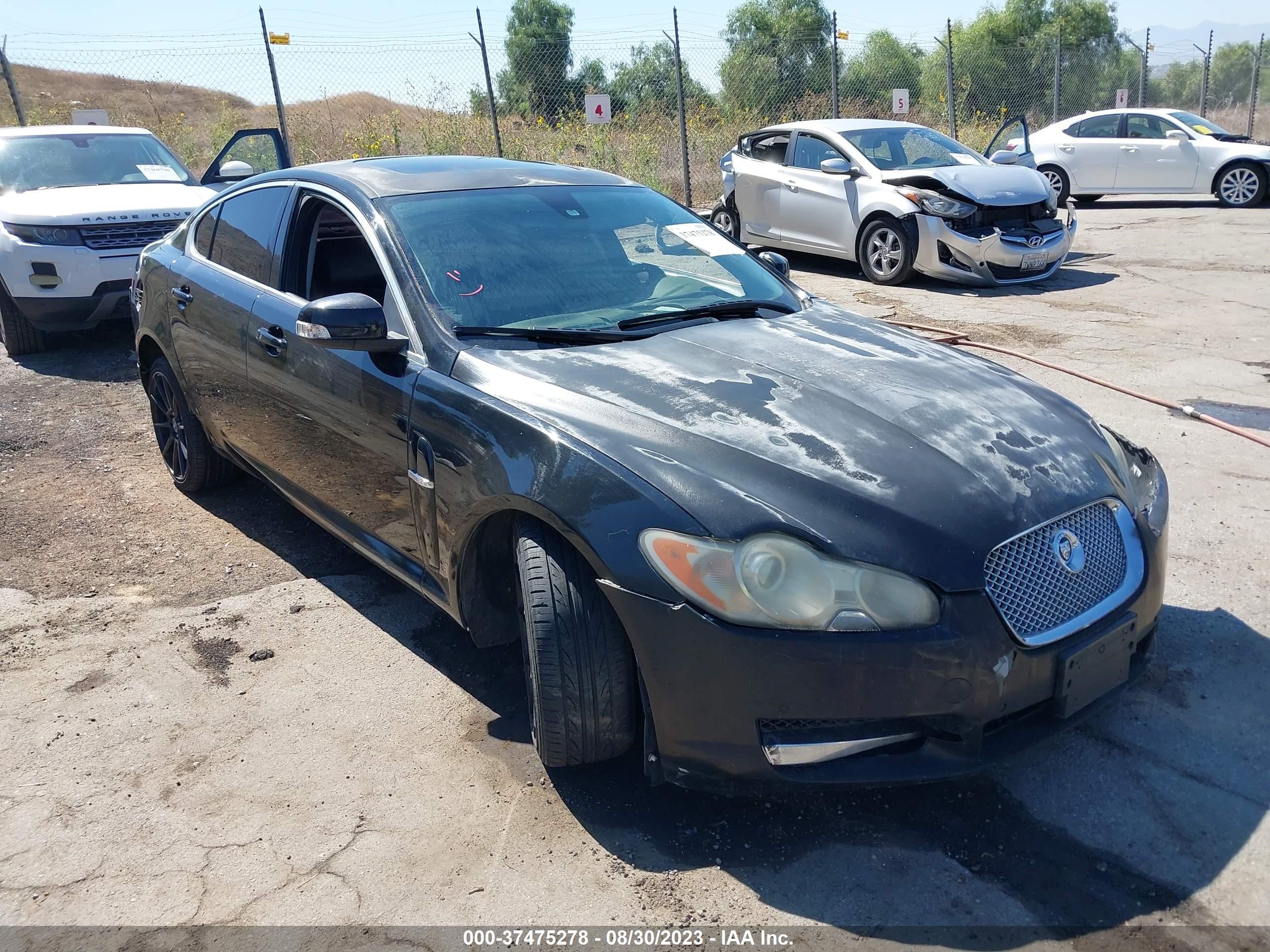 Photo 0 VIN: SAJWA07C491R41970 - JAGUAR XF 