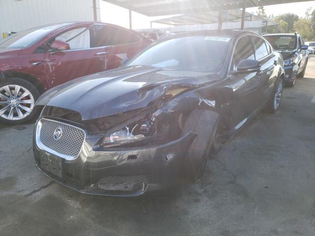 Photo 1 VIN: SAJWA0E71D8S70487 - JAGUAR XF 