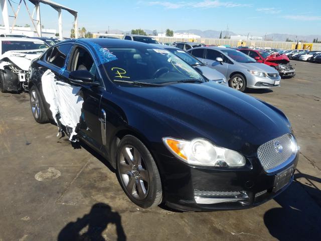 Photo 8 VIN: SAJWA0FB1BLR85895 - JAGUAR XF 