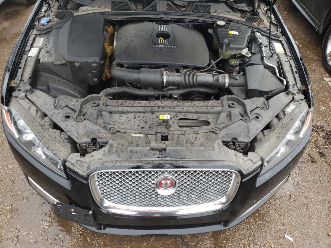 Photo 10 VIN: SAJWA0FS2FPU50606 - JAGUAR XF 