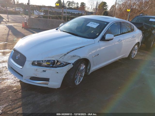 Photo 1 VIN: SAJWA0FS5FPU42449 - JAGUAR XF 