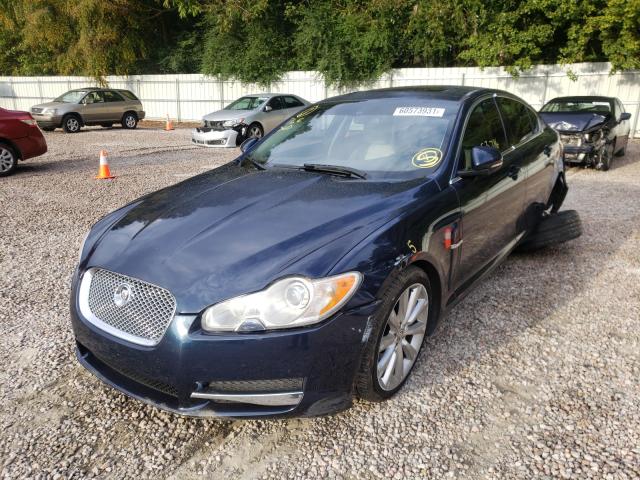 Photo 1 VIN: SAJWA0GB1BLR86365 - JAGUAR XF PREMIUM 