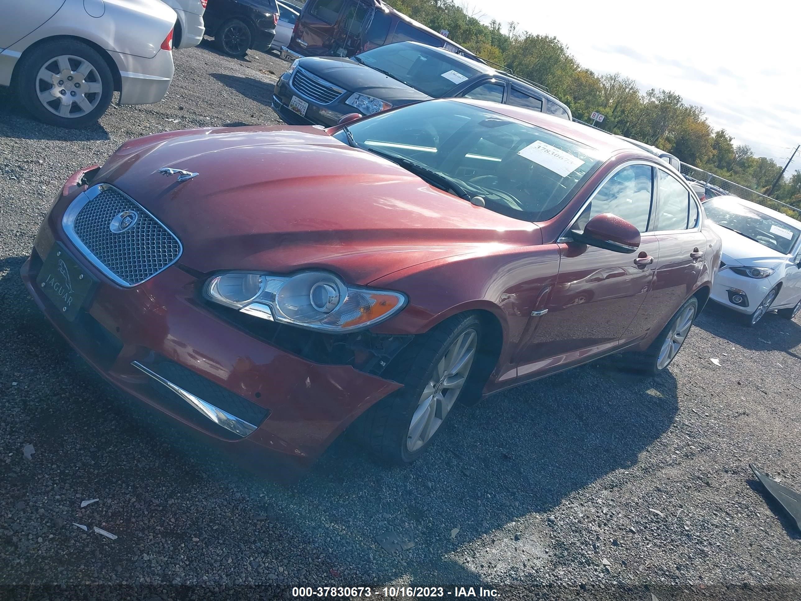 Photo 1 VIN: SAJWA0GB2ALR64065 - JAGUAR XF 