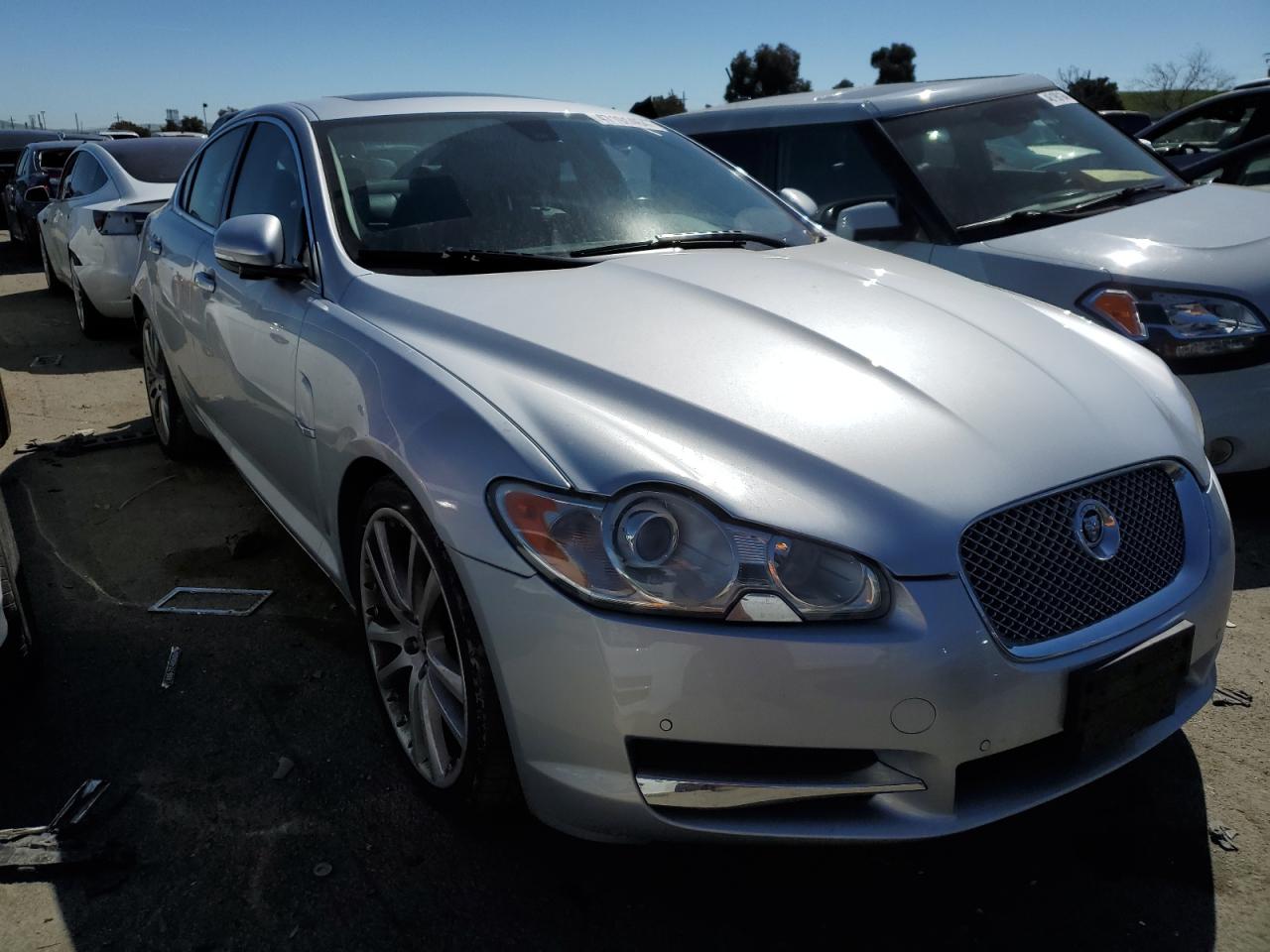 Photo 3 VIN: SAJWA0GB4BLR88269 - JAGUAR XF 