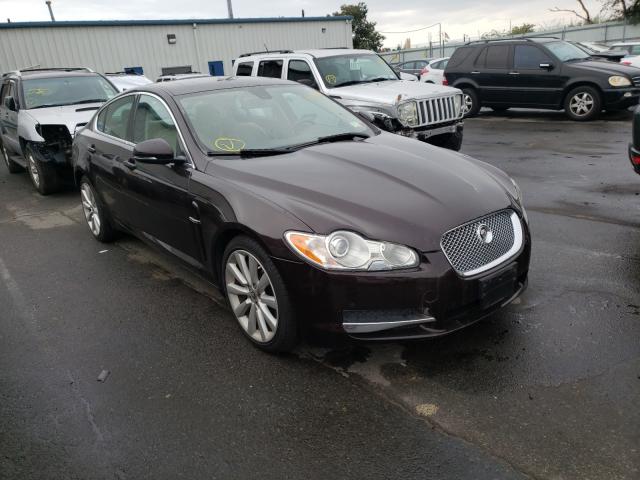 Photo 0 VIN: SAJWA0GB4BLR93164 - JAGUAR XF PREMIUM 