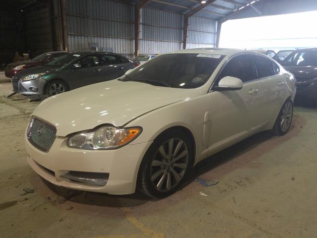 Photo 1 VIN: SAJWA0GB5ALR53660 - JAGUAR XF PREMIUM 