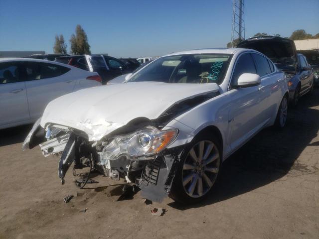 Photo 1 VIN: SAJWA0GB5BLS18663 - JAGUAR XF PREMIUM 