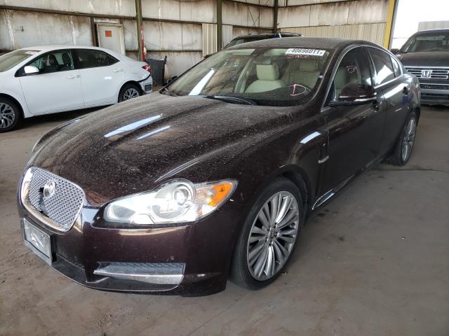 Photo 1 VIN: SAJWA0GB7BLR84586 - JAGUAR XF PREMIUM 