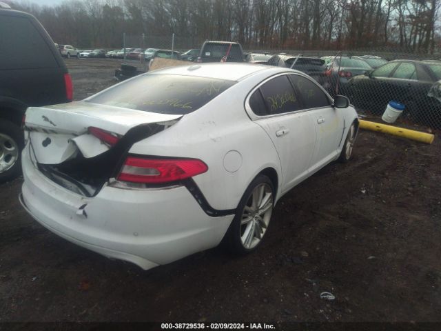 Photo 3 VIN: SAJWA0HE7BMS01379 - JAGUAR XF 