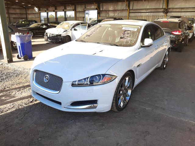 Photo 1 VIN: SAJWA0HEXDMS80288 - JAGUAR XF SUPERCH 