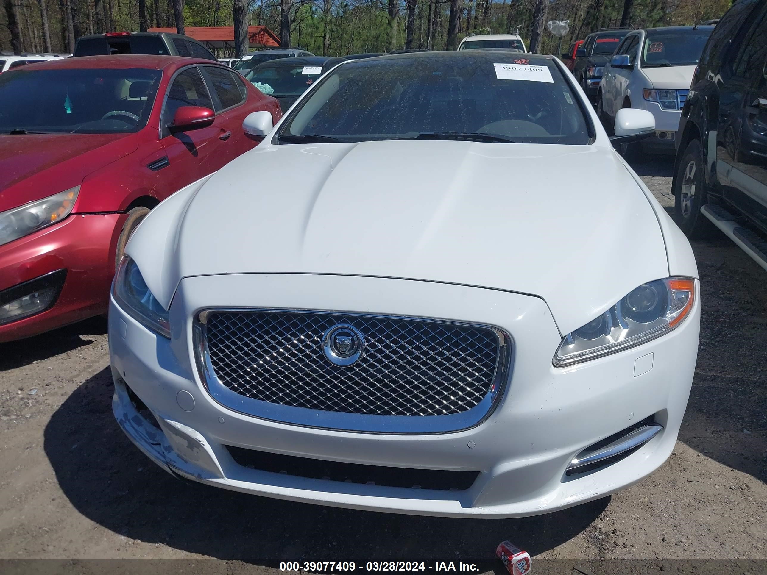 Photo 11 VIN: SAJWA1C77G8V97800 - JAGUAR XJ 