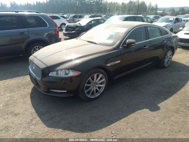 Photo 1 VIN: SAJWA1CB1BLV16588 - JAGUAR XJ 