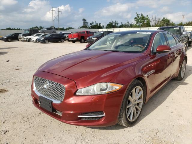 Photo 1 VIN: SAJWA1CB8BLV13560 - JAGUAR XJ 