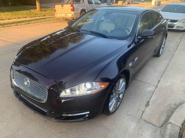 Photo 1 VIN: SAJWA1CB9BLV08920 - JAGUAR XJ 