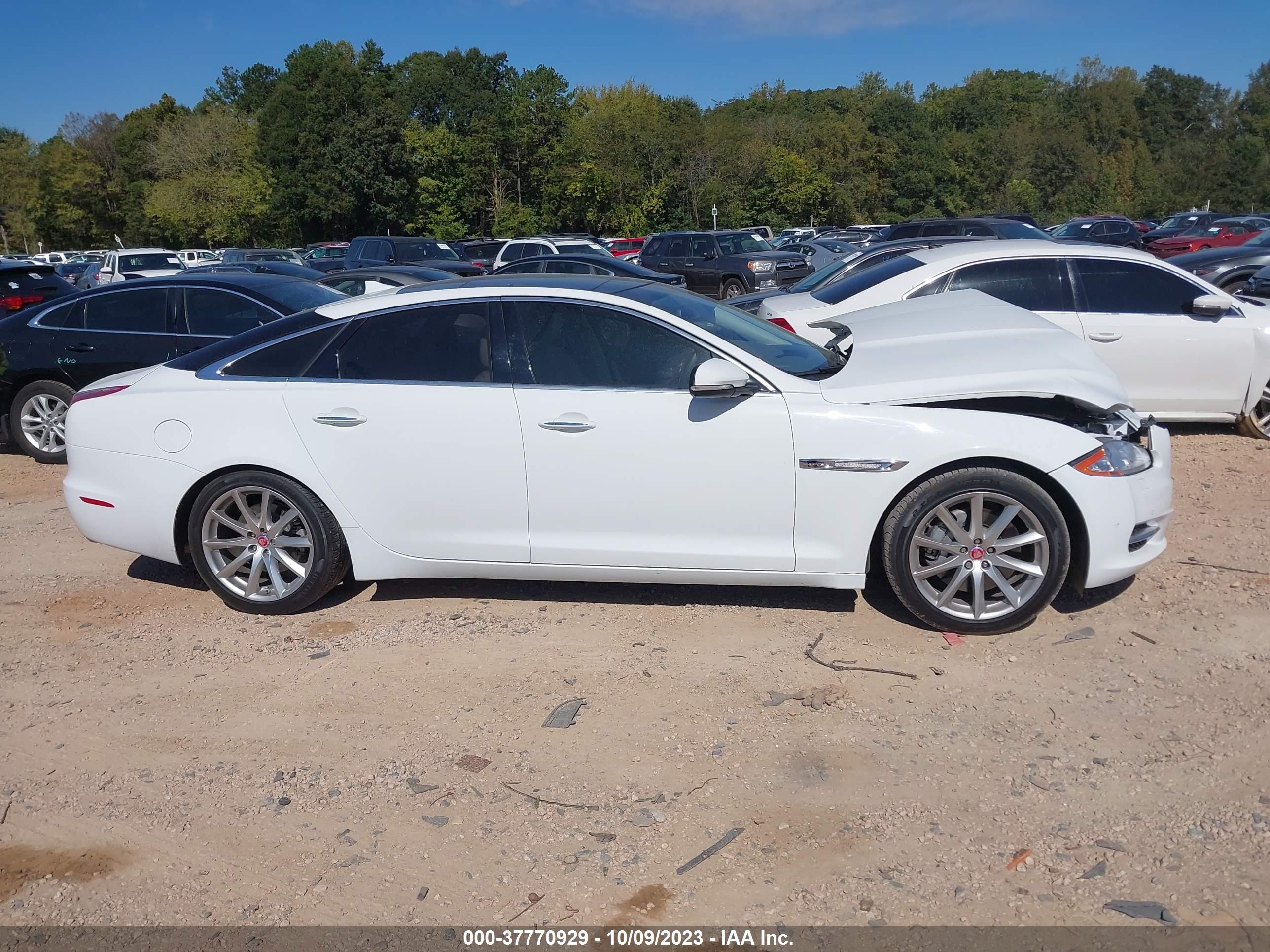 Photo 12 VIN: SAJWA1CZ9F8V82621 - JAGUAR XJ 