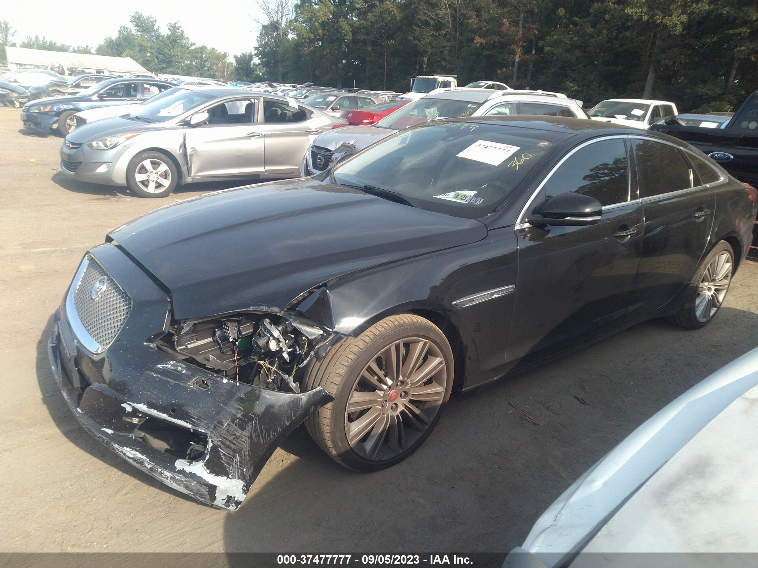 Photo 1 VIN: SAJWA1GT5EMV64855 - JAGUAR XJ 