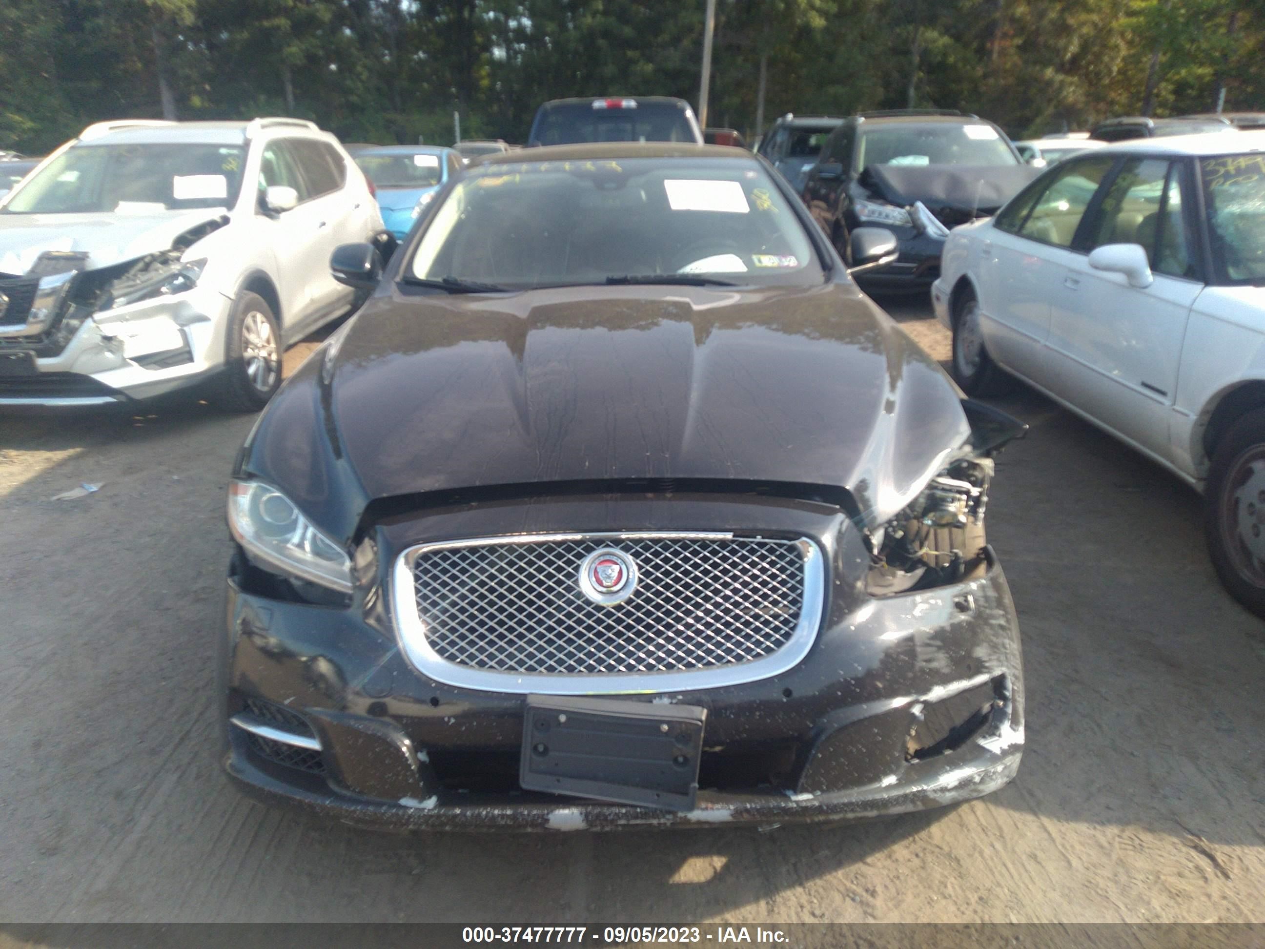 Photo 11 VIN: SAJWA1GT5EMV64855 - JAGUAR XJ 