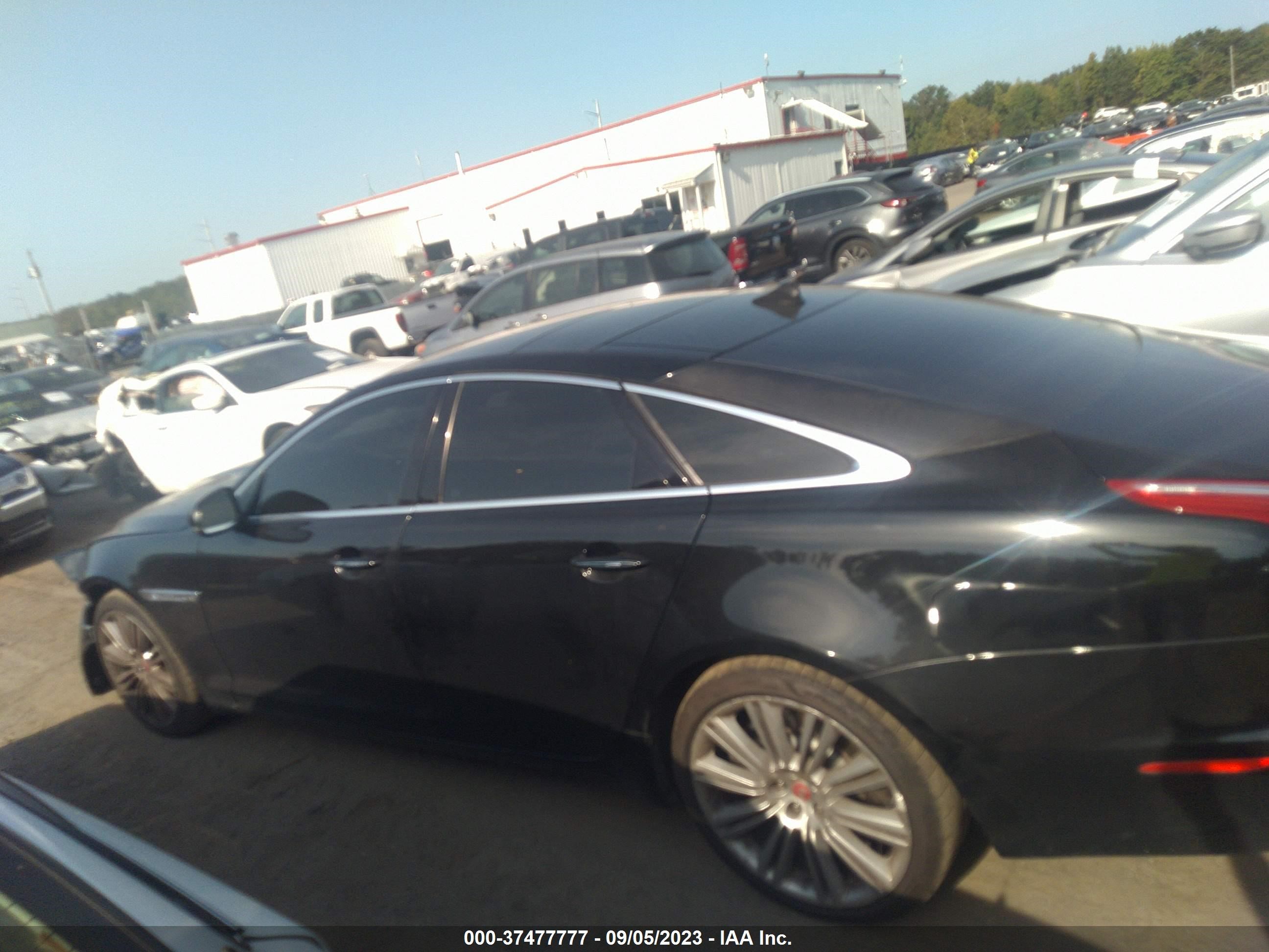 Photo 13 VIN: SAJWA1GT5EMV64855 - JAGUAR XJ 