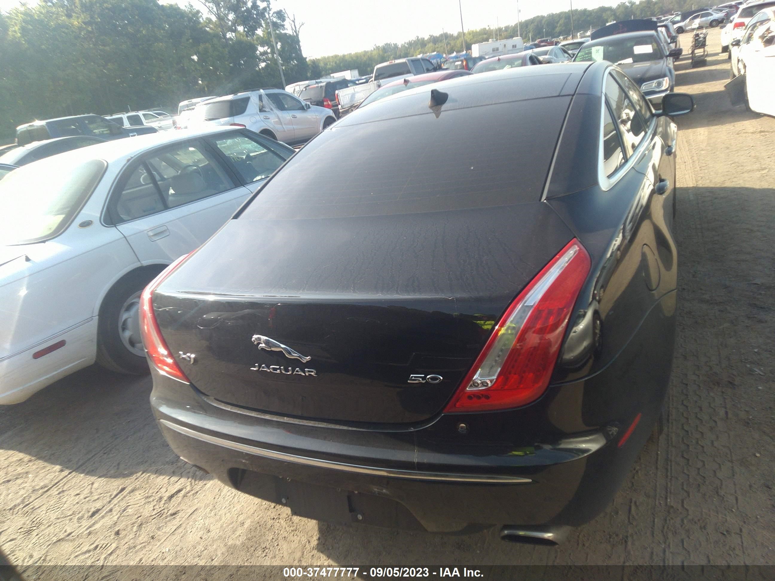 Photo 15 VIN: SAJWA1GT5EMV64855 - JAGUAR XJ 