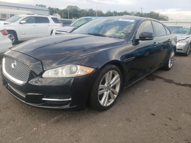 Photo 1 VIN: SAJWA2GB4BLV08274 - JAGUAR XJL 