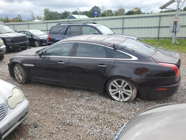 Photo 1 VIN: SAJWA2GB6BLV02704 - JAGUAR XJL 