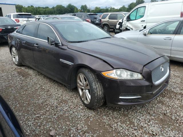 Photo 3 VIN: SAJWA2GB6BLV02704 - JAGUAR XJL 