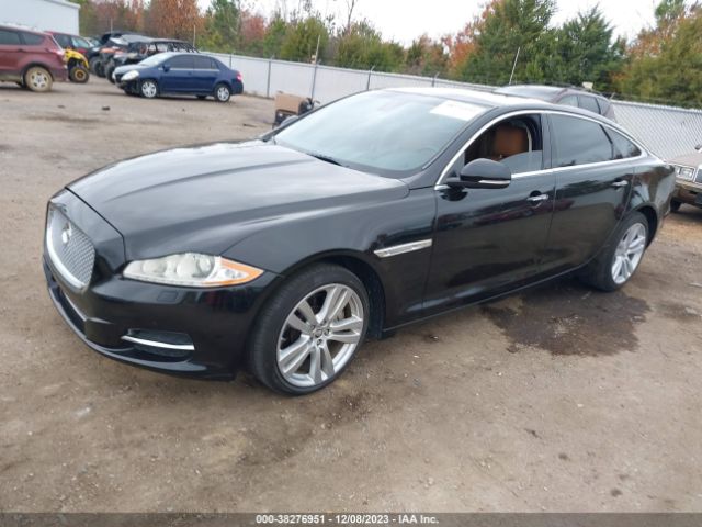 Photo 1 VIN: SAJWA2GB8BLV17236 - JAGUAR XJL 