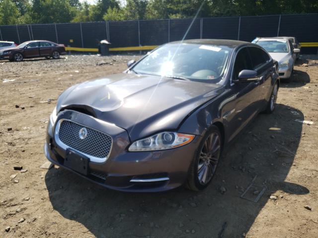 Photo 1 VIN: SAJWA2GE0BMV05084 - JAGUAR XJL SUPERC 