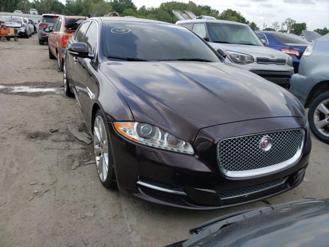 Photo 8 VIN: SAJWA2GZ8E8V61466 - JAGUAR XJL PORTFO 