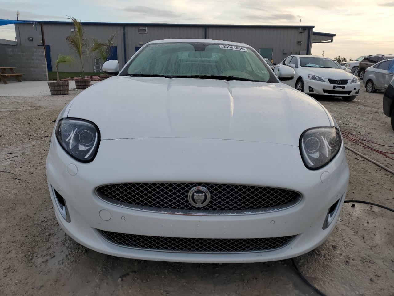 Photo 4 VIN: SAJWA4GB9ELB52231 - JAGUAR XK 