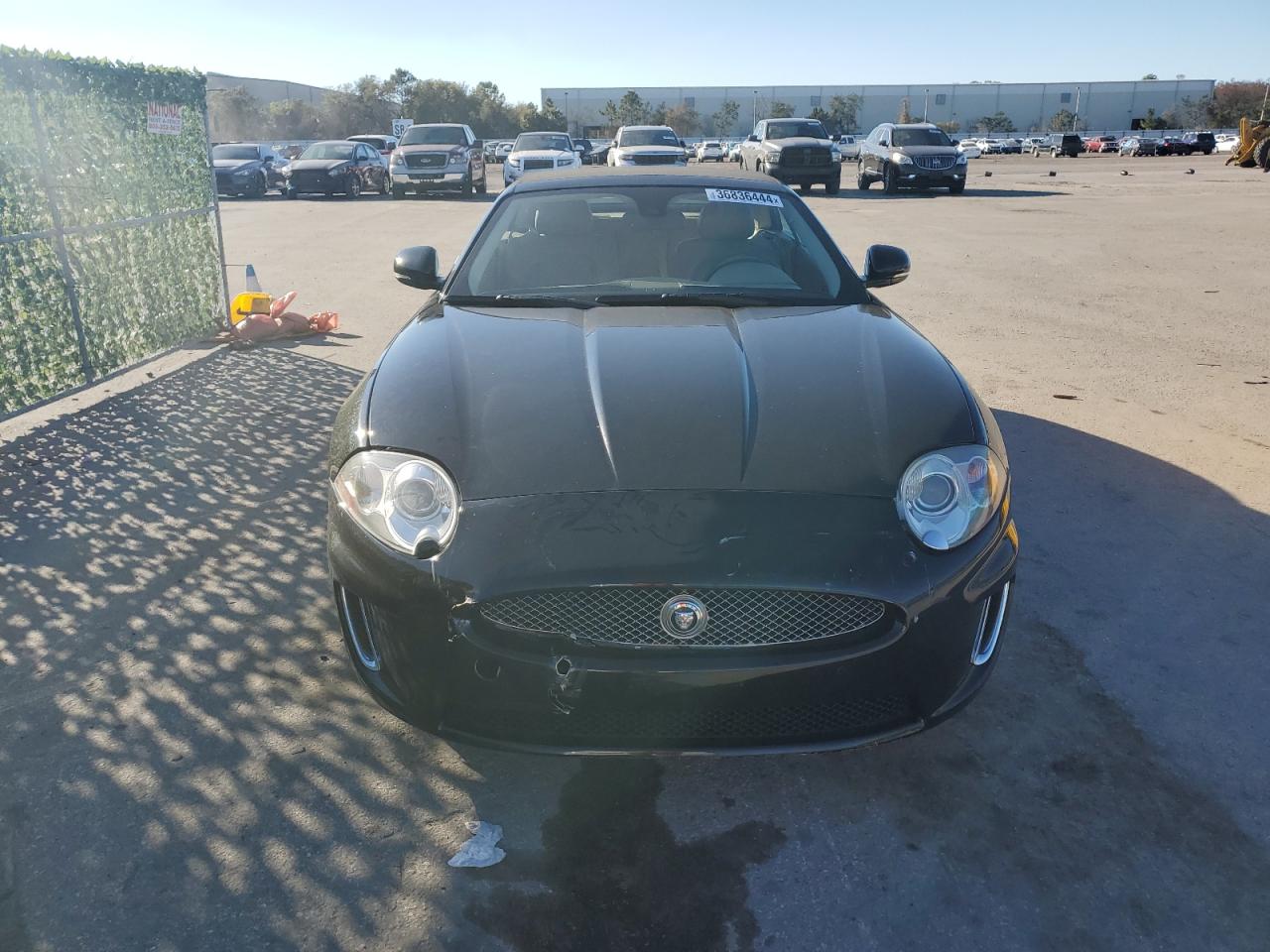 Photo 4 VIN: SAJWA4GBXBLB39435 - JAGUAR XK 