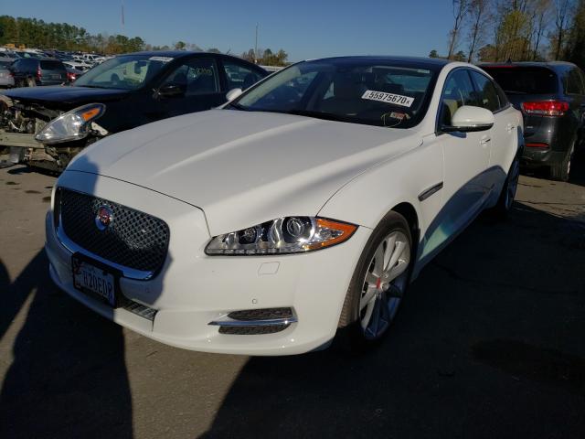 Photo 1 VIN: SAJWJ1CD1F8V79166 - JAGUAR XJ 