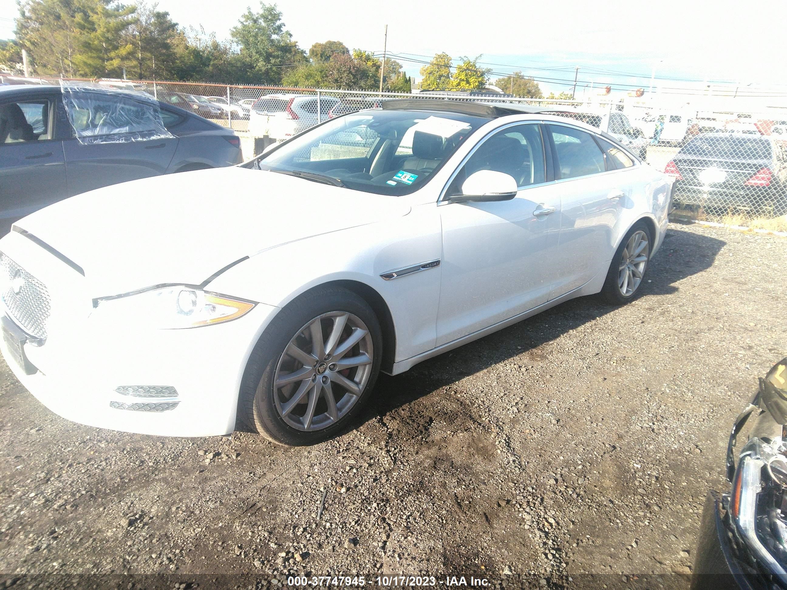 Photo 1 VIN: SAJWJ1CD7D8V56102 - JAGUAR XJ 