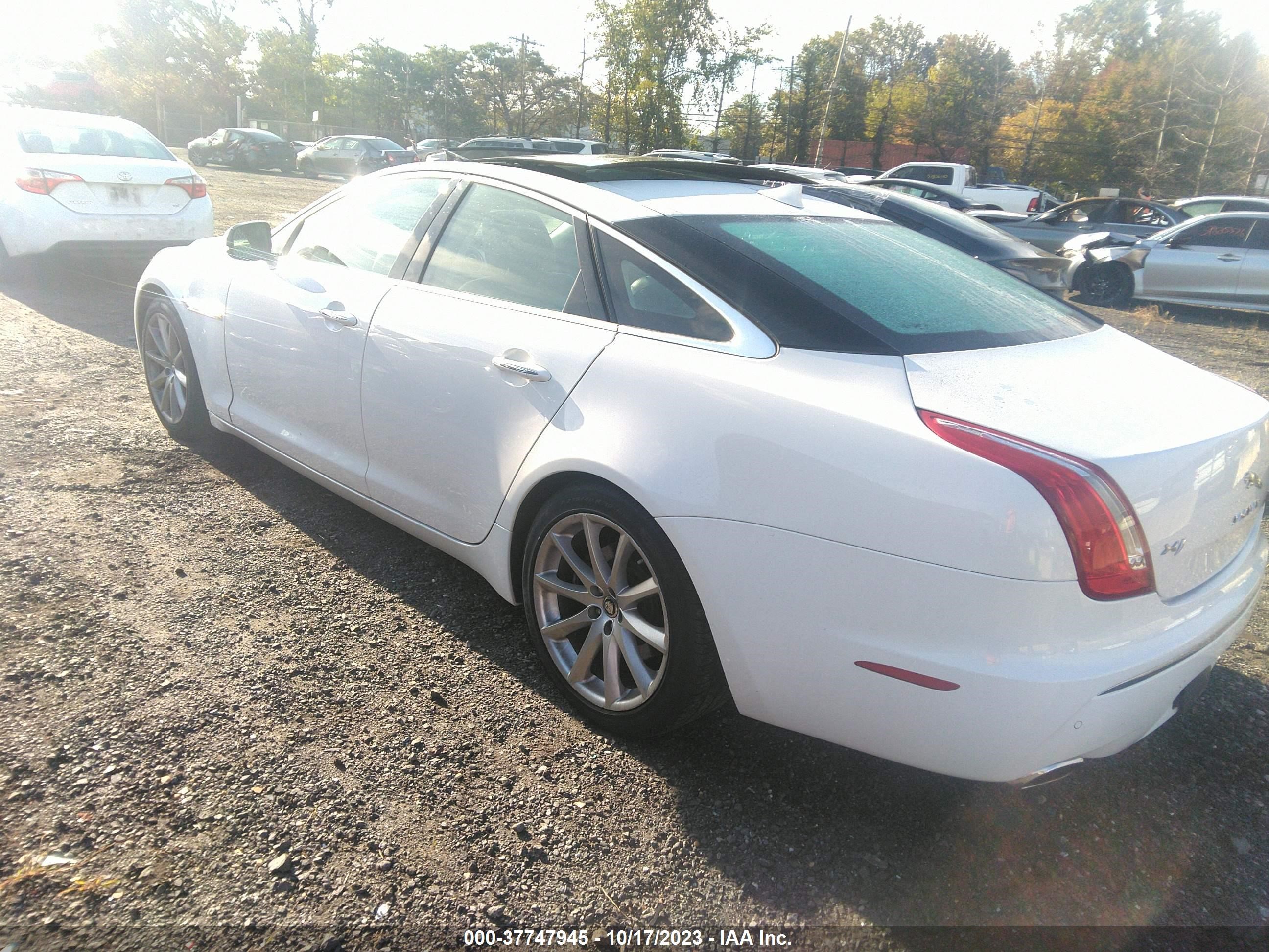 Photo 2 VIN: SAJWJ1CD7D8V56102 - JAGUAR XJ 