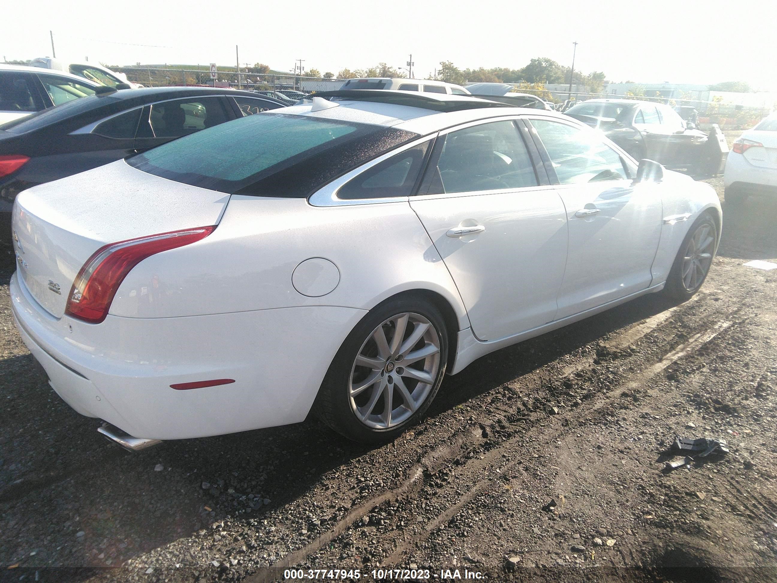 Photo 3 VIN: SAJWJ1CD7D8V56102 - JAGUAR XJ 