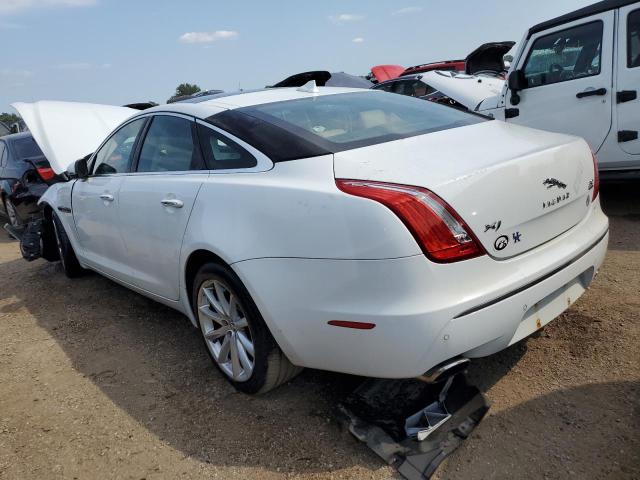 Photo 1 VIN: SAJWJ1CDXD8V49127 - JAGUAR XJ 